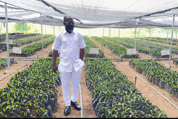 🌴🏡 LAND BANKING + OIL PALM PLANTATION: THE SUPER-COMBO INVESTMENT FOR GENERATIONAL WEALTH